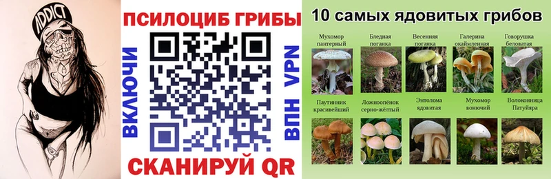 kraken зеркало  Тулун  Галлюциногенные грибы Psilocybe  как найти закладки 